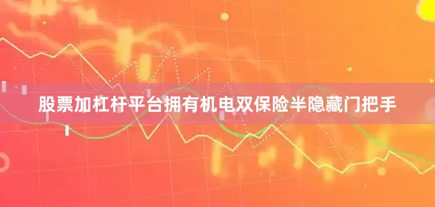 股票加杠杆平台拥有机电双保险半隐藏门把手